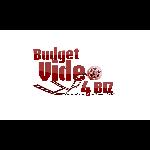 BudgetVideo4BIZ